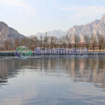 ประตูเขื่อนอากาศกระเพาะปัสสาวะ